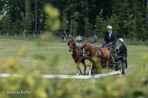 dressuur en vaardigheid  nienoord 10-8-2015  joshua keller-0303     